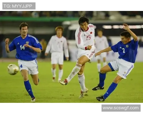 2017年芬兰与爱沙尼亚足球对决精彩回顾与分析