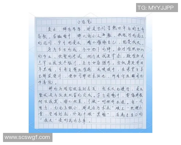 何思雨的成长之路：从青涩少女到职场精英的蜕变与追求