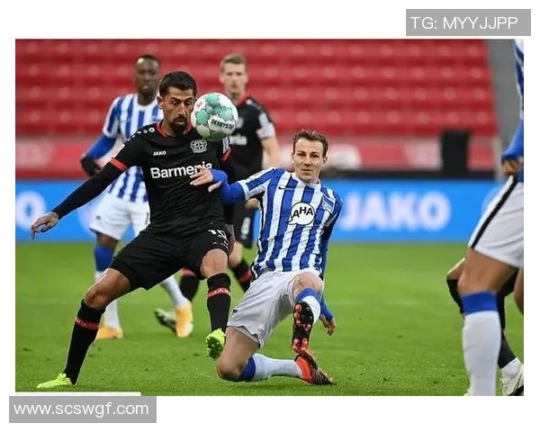 多特蒙德与帕德博恩激战在即谁能在德甲赛场笑到最后 多特蒙德与帕德博恩激战在即谁能在德甲赛场笑到最后