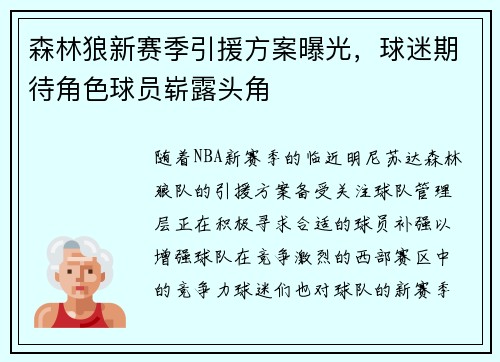 森林狼新赛季引援方案曝光，球迷期待角色球员崭露头角